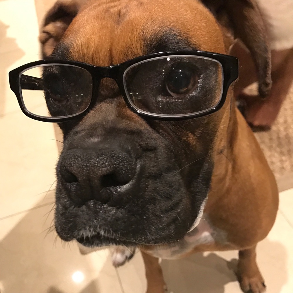 Meet your Posher, Elizabeth